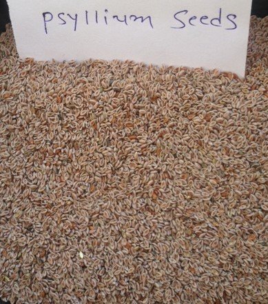 Psyllium 4